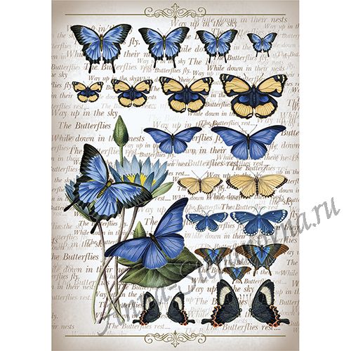 Рисовая бумага «Коллекция бабочек»