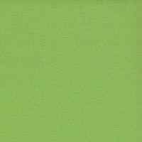 Кардсток «Зеленый попугай»