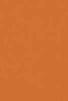 Бумага «Color Multi Purpose Card» оранжевая