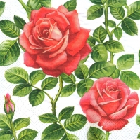 Салфетка «Розовый куст на белом»